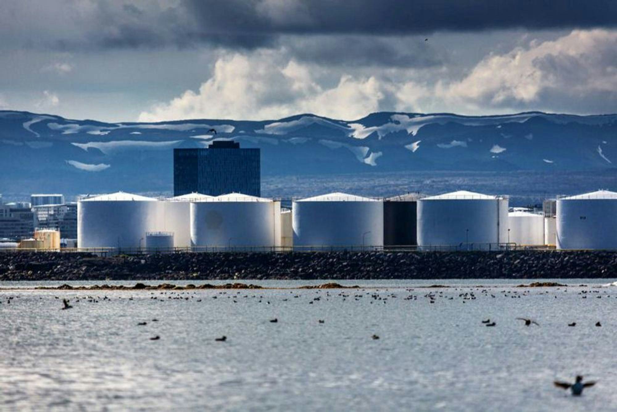 A row of white industrial storage tanks by the water