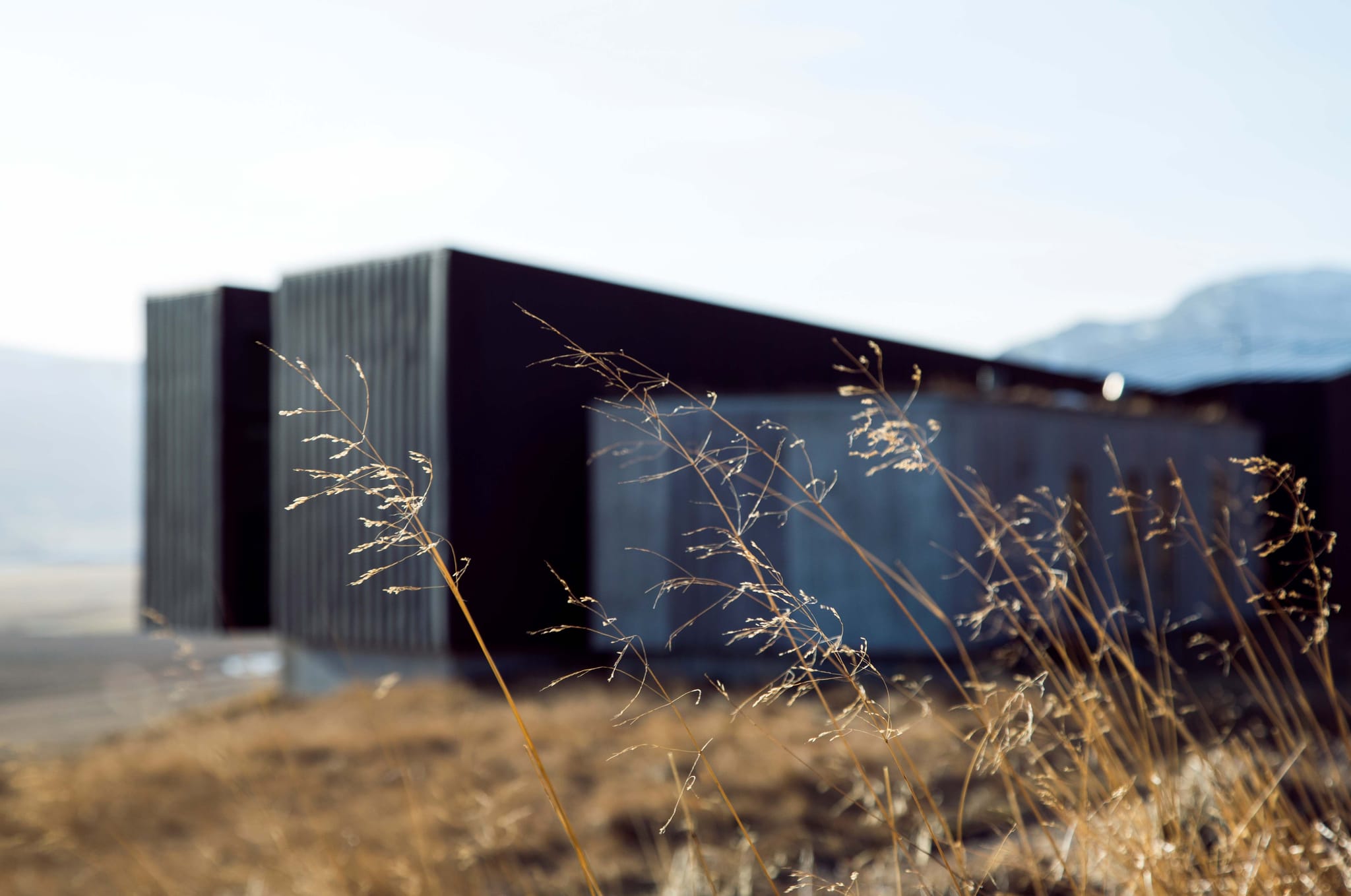 Straws seen in front of af black building and blue skies